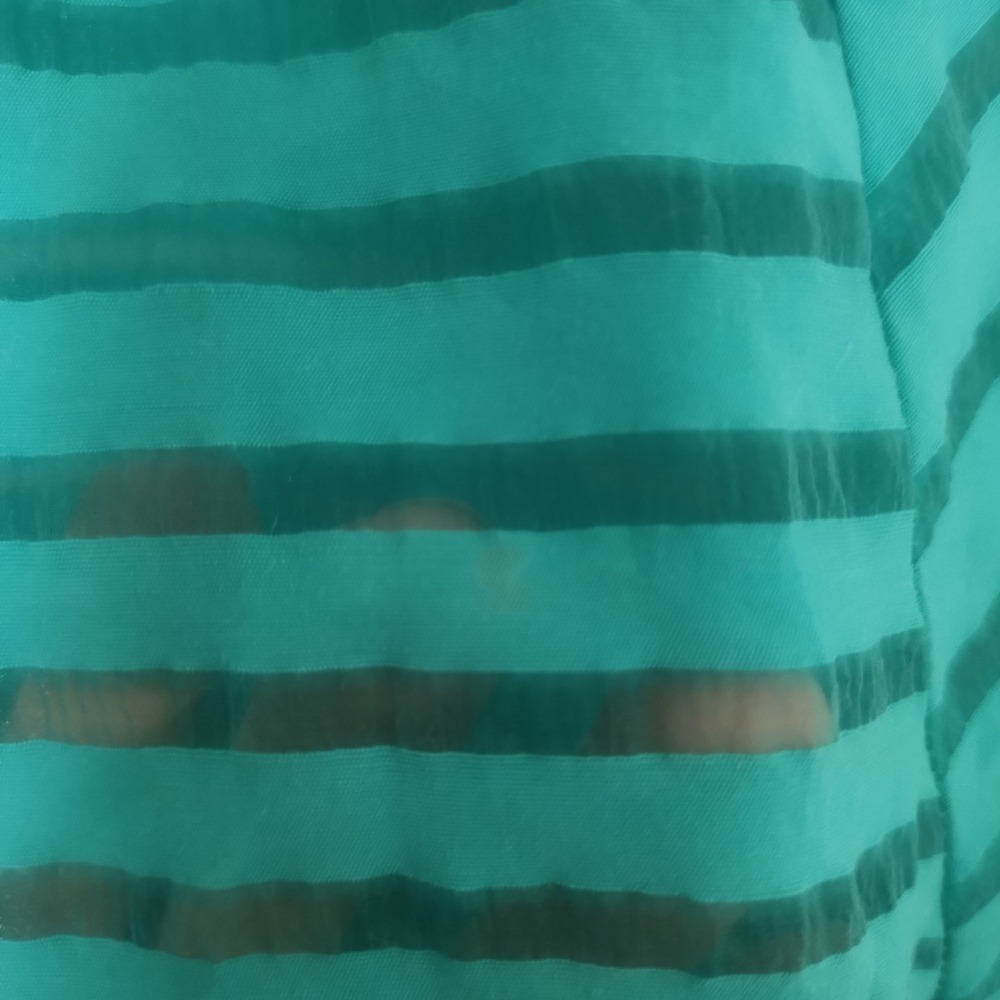 The Limited Sheer Stripe Blouse Women's Medium Teal Zipper Back Chic - Picture 5 of 10